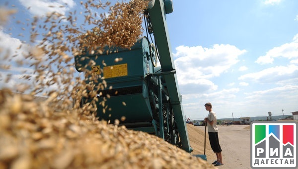 Россия обошла Канаду и США по объему экспорта пшеницы