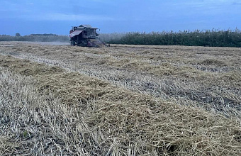 Власти Дагестана попросили Минсельхоз РФ возобновить экспорт риса