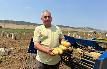 Аграрии Кумторкалинского района планируют увеличить площадь под картофелем до 200 гектаров