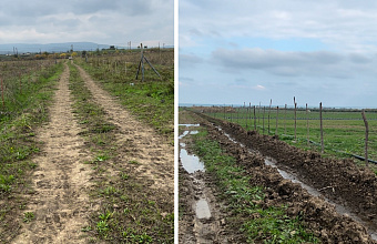 В двух муниципалитетах Дагестана нашли более 100 гектаров несуществующих виноградников