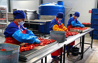 В Дагестане ожидается рост производства плодоовощных консервов на 25%