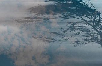 Усиление ветра до 15-20 м/с прогнозируется в районах Дагестана