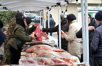 В Махачкале за 2024 год на сельхозярмарках продали продовольствия на 210 млн рублей