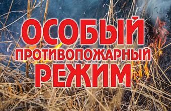 В Дагестане объявлена чрезвычайная пожароопаснось