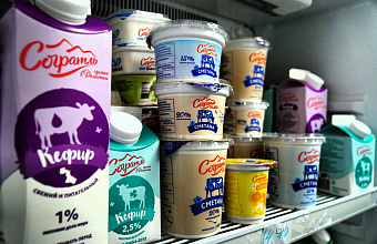 Более 20 инвестиционных проектов по переработке сельхозпродукции получили поддержку в Дагестане