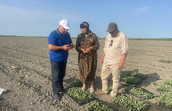 Дагестан наращивает свою роль «зимнего огорода» страны