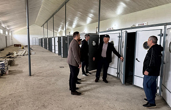 В Дагестане ожидается открытие крупного цеха инкубации куриных яиц