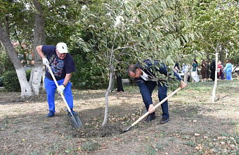 Экологическая акция «Сад парламента» пройдет в Махачкале
