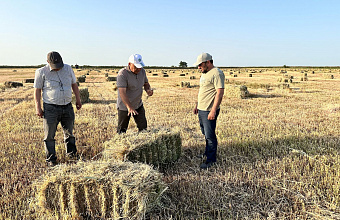 Дагестанские аграрии намерены заготовить более 1,5 млн тонн грубых кормов