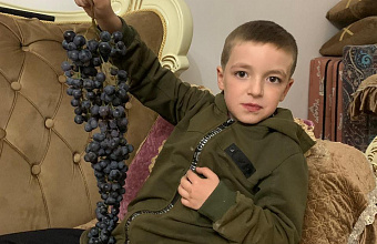 В Дагестане возрождают уникальный сорт винограда