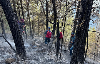 Лесной пожар произошел в Тляратинском районе