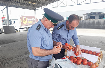 В Дагестане Россельхознадзором проконтролирован ввоз 81 тысячи тонн фруктов и овощей