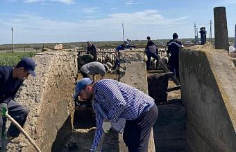 В Дагестане проверили здоровье более 40 тысяч овец и коз при перегоне на летние пастбища