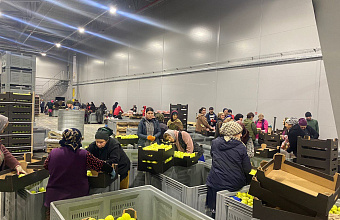 Шарип Шарипов: «ООО ''Полоса'' внедряет передовые технологии при реализации проекта по закладке новых садов»