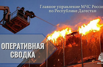 Огнеборцы потушили 37 пожаров за неделю в Дагестане