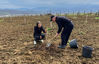 Акция «Сад памяти» прошла в Буйнакском районе