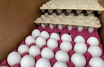 В Дагестан из двух стран завезли почти 5 млн импортных куриных яиц