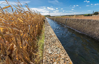 Дагестан в 2024 году заявил проекты мелиорации на 1,7 млрд рублей