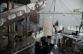 Дагестан производит 5% от всего объема молочной продукции в России