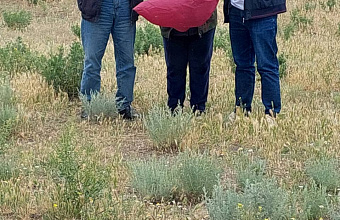 В Дагестане приграничные с Чечней земли проверили на наличие саранчи