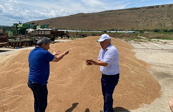 Большинство районов Дагестана приступило к уборке озимых зерновых культур – Минсельхоз РД