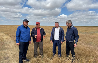 В Дагестане обсудили меры по борьбе с саранчовыми вредителями