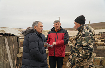 Руководитель Минсельхозпрода Дагестана ознакомился с ходом зимовки скота на отгонных землях в Дербентском районе