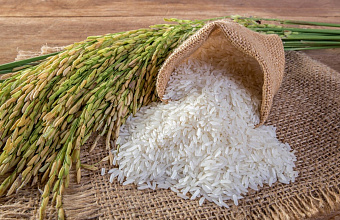 Больше 300 тысяч тонн зерновых с недостоверным декларированием выявлены Россельхознадзором в Дагестане