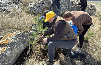 Депутат Шамиль Омаров посадил деревья в честь 30-летия Народного Собрания РД