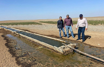 Специалисты Минсельхозпрода Дагестана оценили состояние отгонных пастбищ
