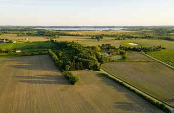 Общая посевная площадь в Дагестане в 2024 году будет увеличена