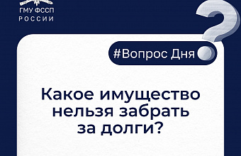 Какое имущество нельзя забрать за долги?