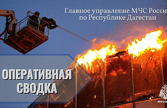 В Дагестане за сутки произошло 30 пожаров – МЧС