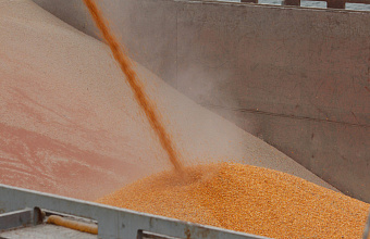 Северная Осетия поставила в Дагестан около 60 тысяч тонн зерна