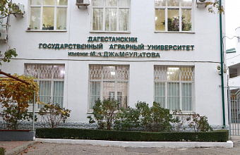 Экс-проректор вуза в Дагестане стал фигурантом дела за подделку документа