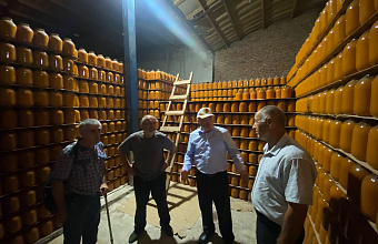 Переработка плодов в Дагестане выросла на 27% по сравнению с 2023 годом