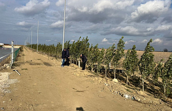 Садоводы Дагестана закладывают полезащитные лесные полосы для защиты садов
