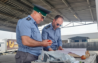 Инспекторы Россельхознадзора Дагестана проверили на границе почти 50 тысяч тонн сельхозпродукции