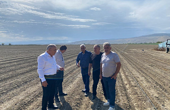 Дагестан приступил к севу подзимних овощных культур