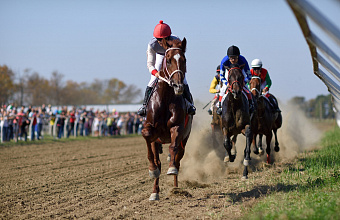 В Дагестане разыграют 650 тыс. рублей на скачках в честь Дня Победы