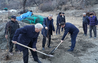 Гумбетовский район активно развивает горно-долинное садоводство