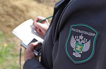 Администрациям шести сёл в Дагестане предписали остановить распространение опасного сорняка