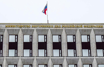 В РФ установили 708 фактов хищения соцвыплат и маткапитала на неродившихся детей