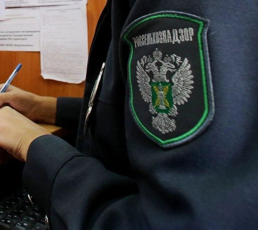 Предприятия Дагестана заставят соблюдать правила утилизации отходов животноводства через суд