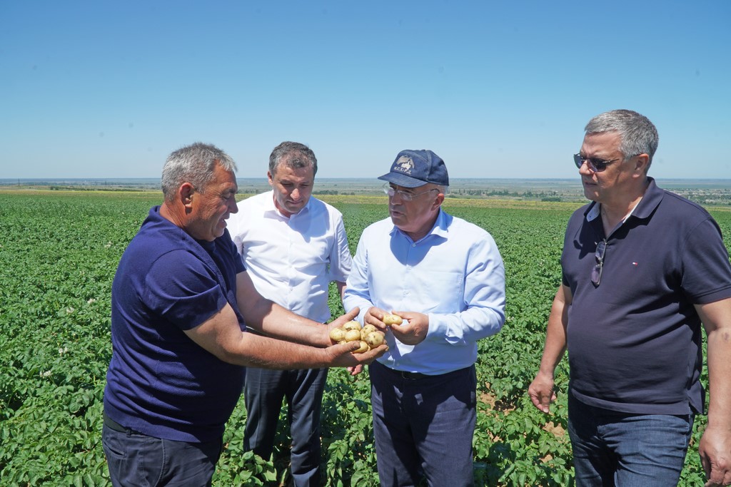 Овощеводы Кумторкалинского района Дагестана удвоят посадки в следующем году