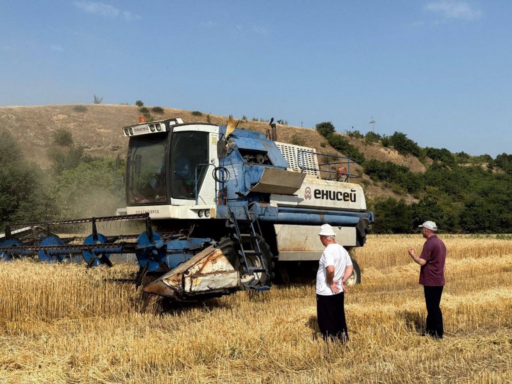 Урожайность зерновых повысилась в Табасаранском районе