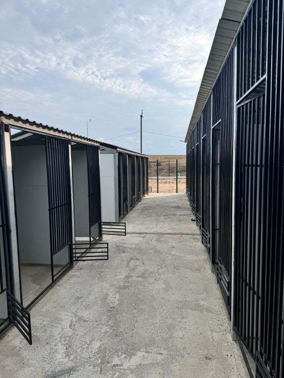 У бизнесмена из Дагестана требуют изъять животных из его «зверинца»