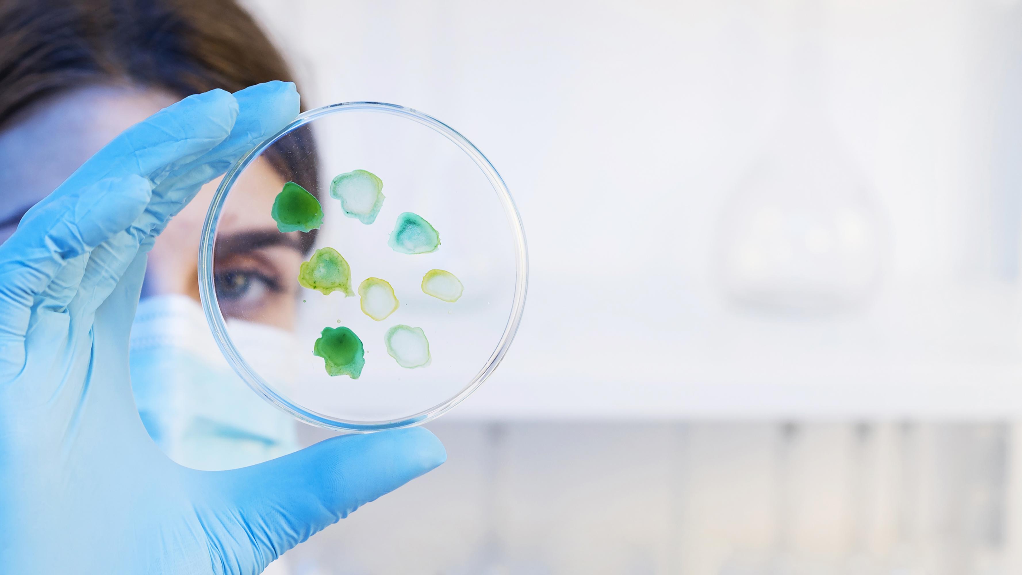 Правительство России утвердило распоряжение о создании центра развития мРНК-технологий