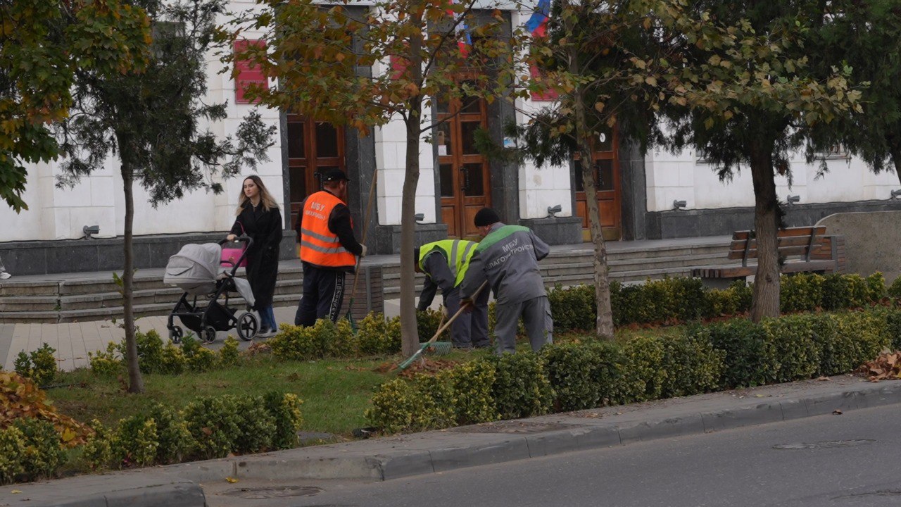 Структурные подразделения администрации Махачкалы готовятся к посадке 50 тысяч тюльпанов