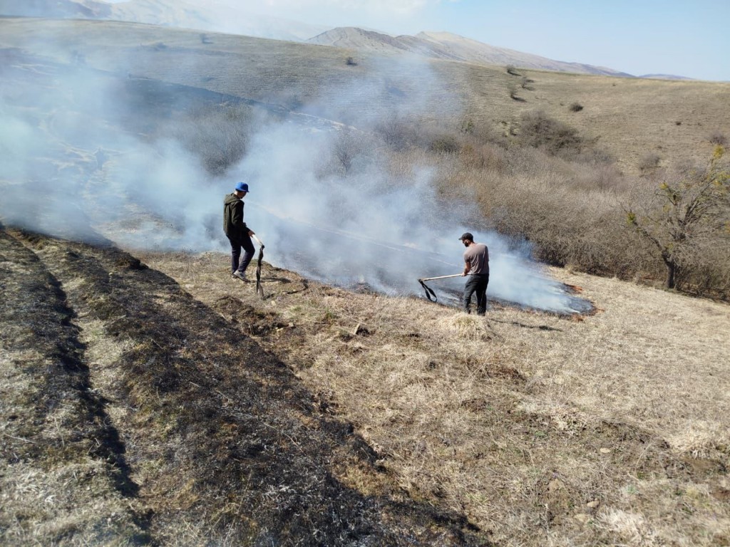 В Дагестане зафиксировано несколько пожаров вблизи лесных массивов